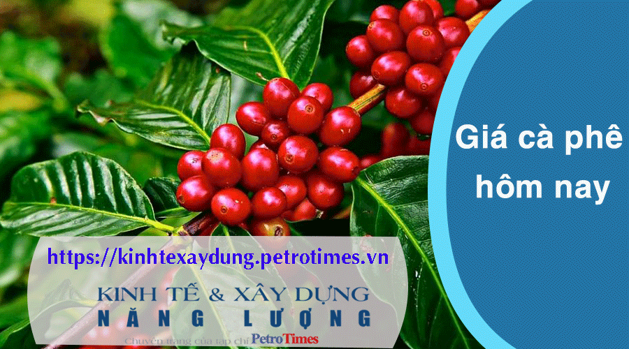 Giá cà phê hôm nay 28/3: Phiên thứ tư liên tiếp lập đỉnh mới