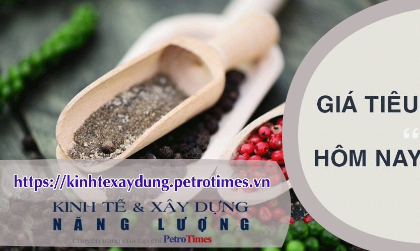 Giá tiêu hôm nay 29/3: Đi ngang liên tiếp