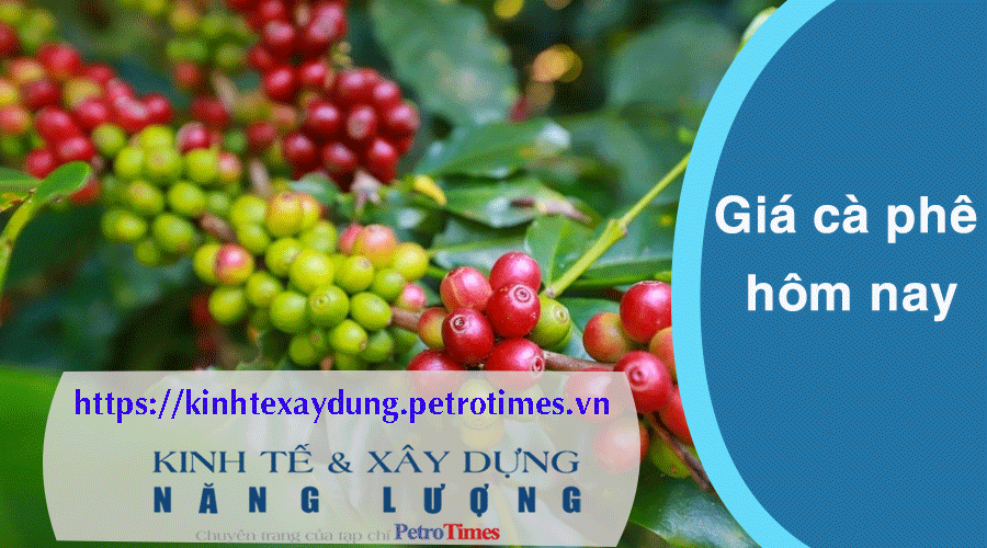Giá cà phê hôm nay 29/3: Tăng mạnh, áp sát mốc 100.000 đồng