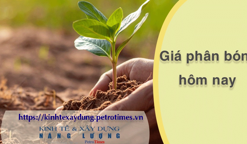 Giá phân bón hôm nay 30/3: Giao dịch chậm