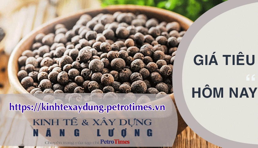 Giá tiêu hôm nay 30/3: Tiếp tục chững lại