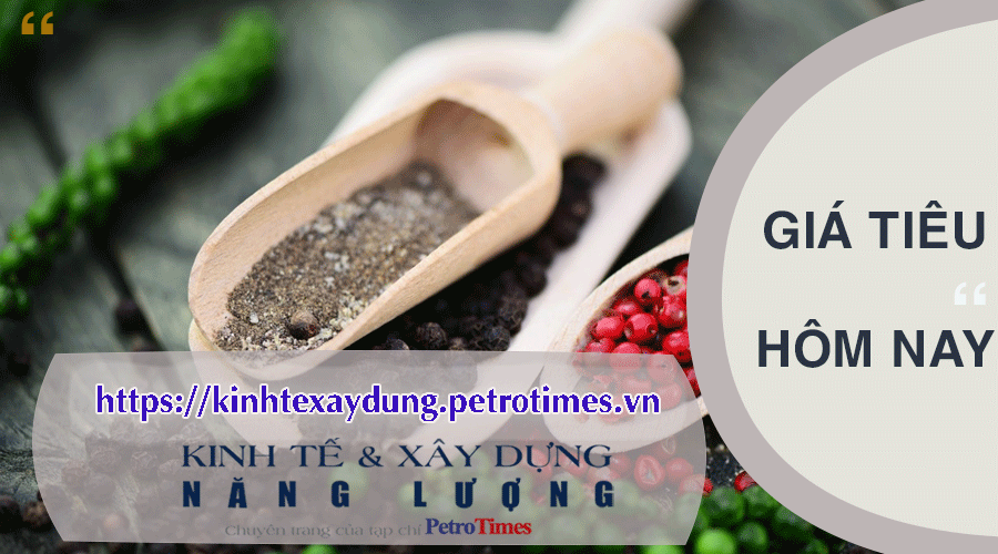 Giá tiêu hôm nay 31/3: Tiếp tục chuỗi ngày ổn định