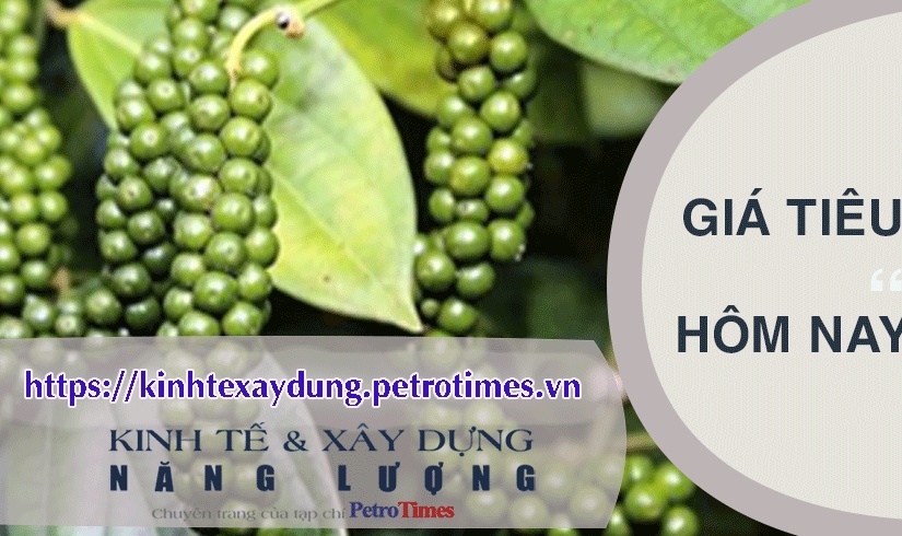 Giá tiêu hôm nay 1/4: Cao nhất ở mức 95.000 đồng