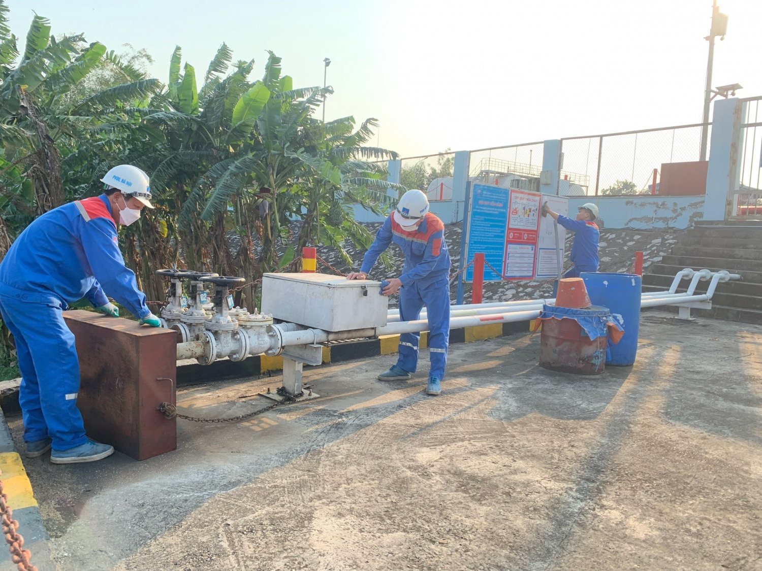 Đoàn Thanh niên PVOIL tổ chức chương trình “Ngày thứ bảy xanh”