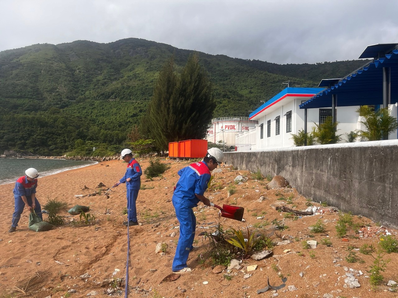 Đoàn Thanh niên PVOIL tổ chức chương trình “Ngày thứ bảy xanh”