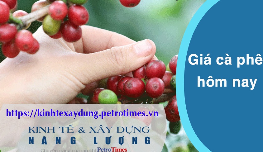 Giá cà phê hôm nay 2/4: Robusta giữ nguyên, Arabica tăng trở lại
