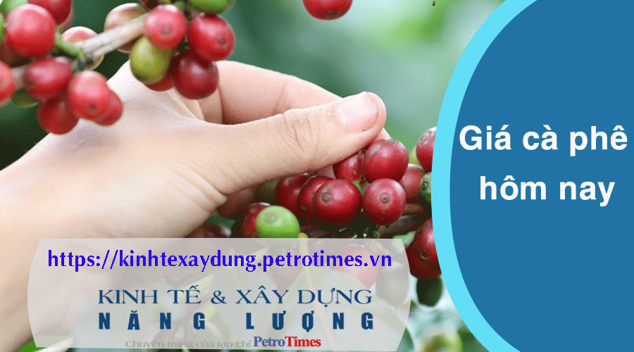 Giá cà phê hôm nay 2/4: Robusta giữ nguyên, Arabica tăng trở lại