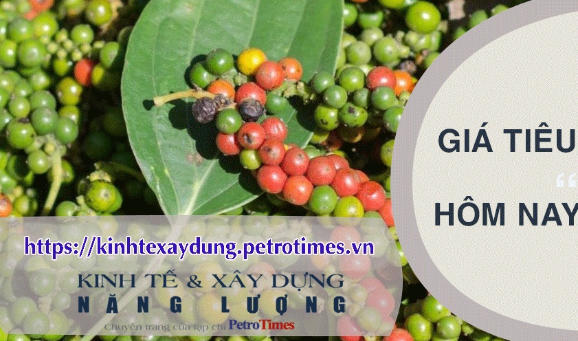 Giá tiêu hôm nay 2/4: Thị trường thế giới có thay đổi
