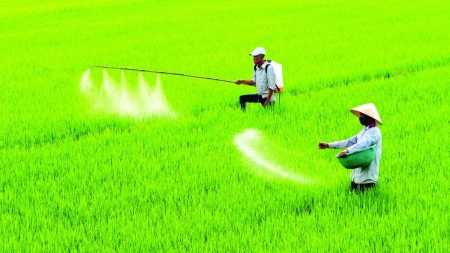 Kỳ I: Bất cập của Luật thuế 71