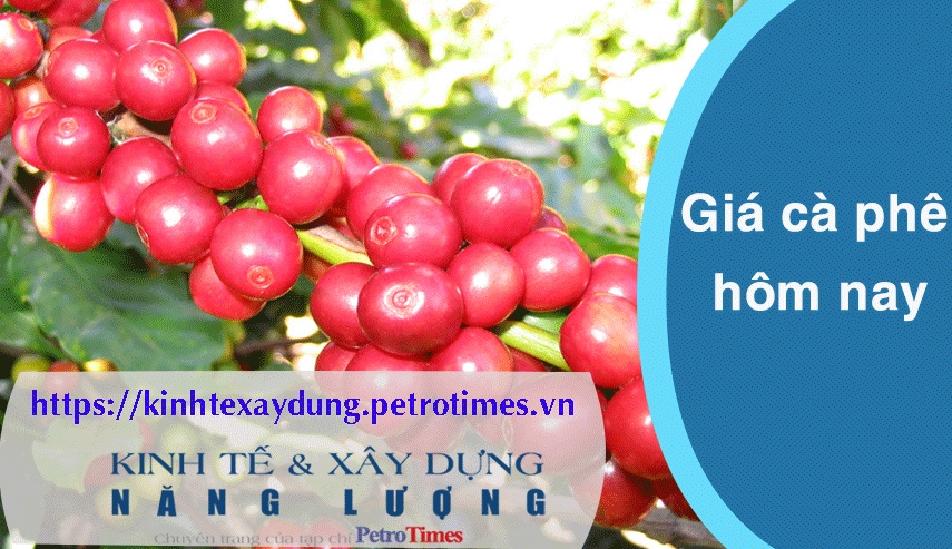 Giá cà phê hôm nay 3/4: Trong nước tăng nhẹ trở lại
