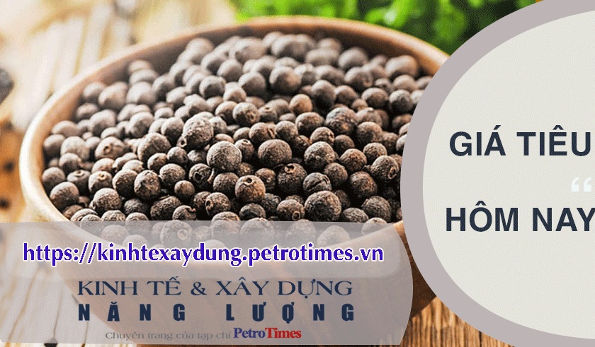 Giá tiêu hôm nay 3/4: Tăng trở lại sau chuỗi ngày đi ngang