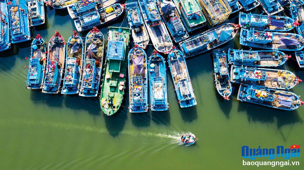 Ngư dân đánh bắt trên biển gặp nhiều rủi ro, nên thường dùng mật ngữ để tránh nói điều kiêng kỵ.    ẢNH: TẤN CƯ