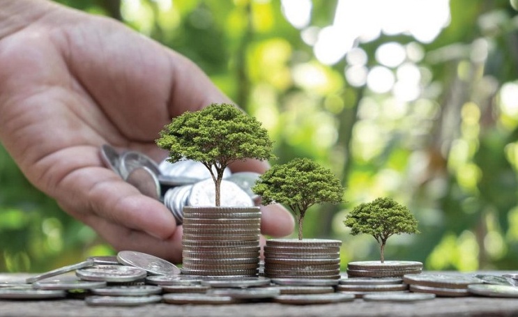 Cần hoàn thiện pháp lý phát triển tín dụng xanh, trái phiếu xanh