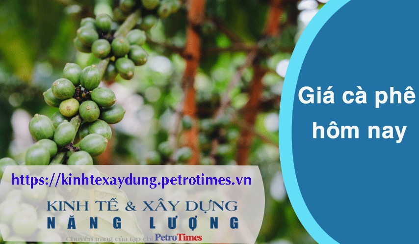 Giá cà phê hôm nay 4/4: Tăng phi mã, vượt mốc 101.000 đồng