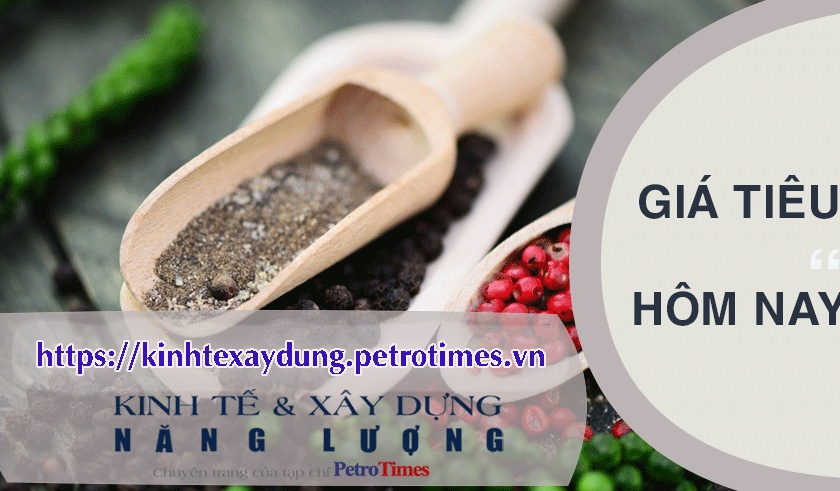 Giá tiêu hôm nay 5/4: Tăng 500 đồng tại Gia Lai