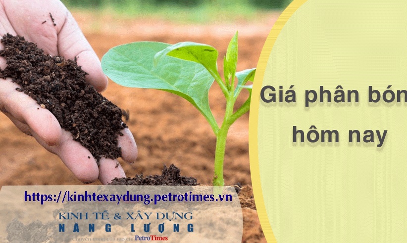 Giá phân bón hôm nay 6/4: DAP Nga xanh/đen giao dịch chậm