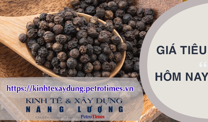 Giá tiêu hôm nay 8/4: Tăng nhẹ tại Gia Lai, giảm tại Đắk Nông