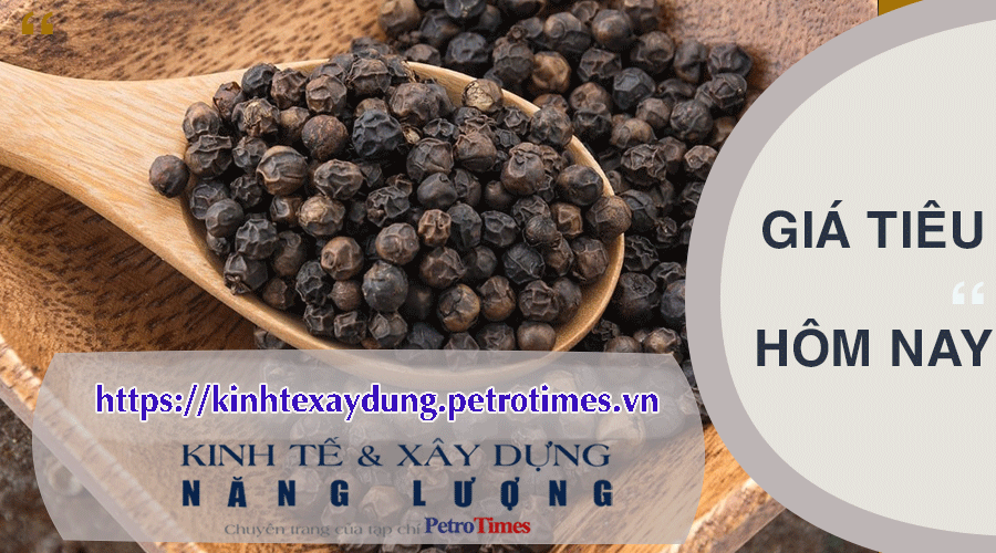 Giá tiêu hôm nay 8/4: Tăng nhẹ tại Gia Lai, giảm tại Đắk Nông