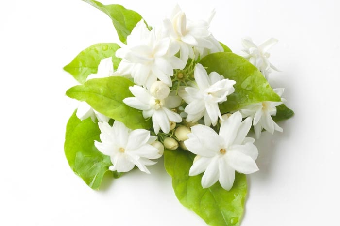 Tử vi ngày 9/4/2024: Tuổi Tý sự nghiệp hanh thông, tuổi Dần nhiều phần ảm đạm Tử vi ngày 9/4/2024: Tuổi Tý sự nghiệp hanh thông, tuổi Dần nhiều phần ảm đạm