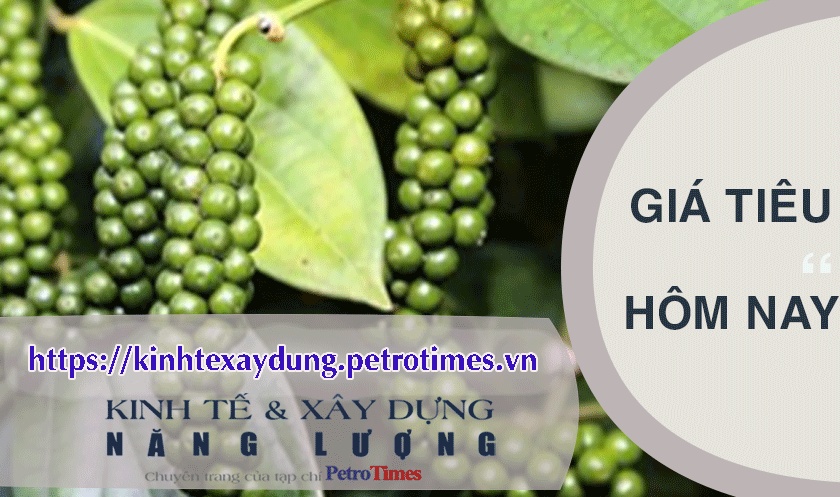 Giá tiêu hôm nay 9/4: Đồng loạt giảm