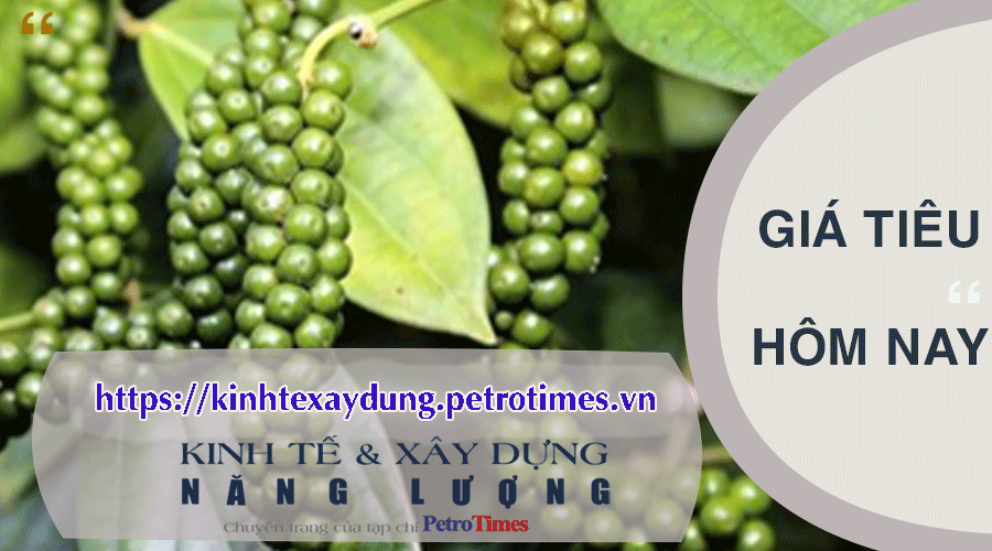 Giá tiêu hôm nay 9/4: Đồng loạt giảm