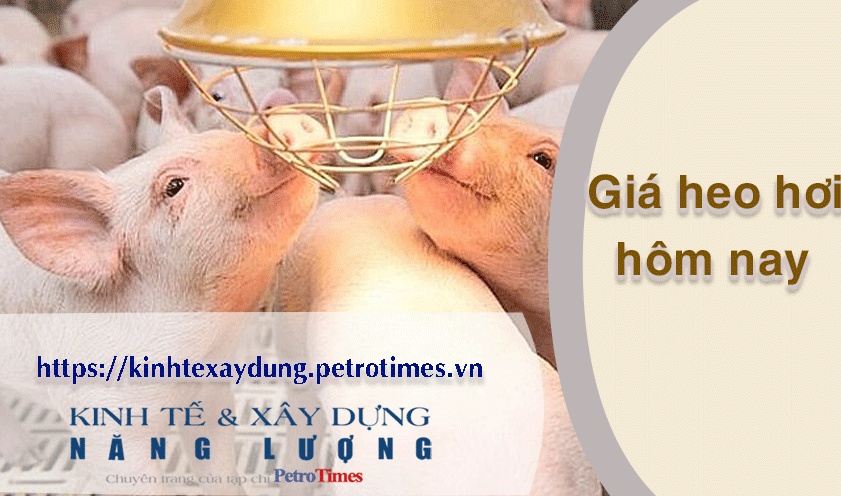Giá heo hơi hôm nay 9/4: Miền Nam giảm rải rác
