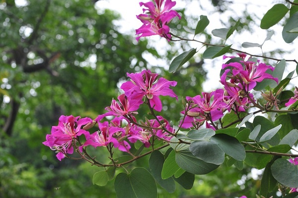Tử vi ngày 10/4/2024: Tuổi Sửu tài chính khởi sắc, tuổi Thân dẫn đầu xu hướng Tử vi ngày 10/4/2024: Tuổi Sửu tài chính khởi sắc, tuổi Thân dẫn đầu xu hướng