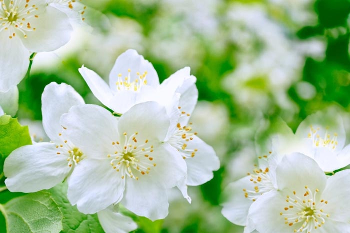 Tử vi ngày 10/4/2024: Tuổi Sửu tài chính khởi sắc, tuổi Thân dẫn đầu xu hướng Tử vi ngày 10/4/2024: Tuổi Sửu tài chính khởi sắc, tuổi Thân dẫn đầu xu hướng