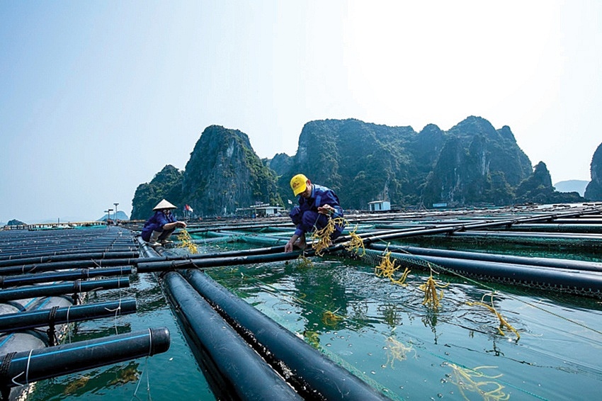 Kinh tế Việt Nam phục hồi tăng trưởng
