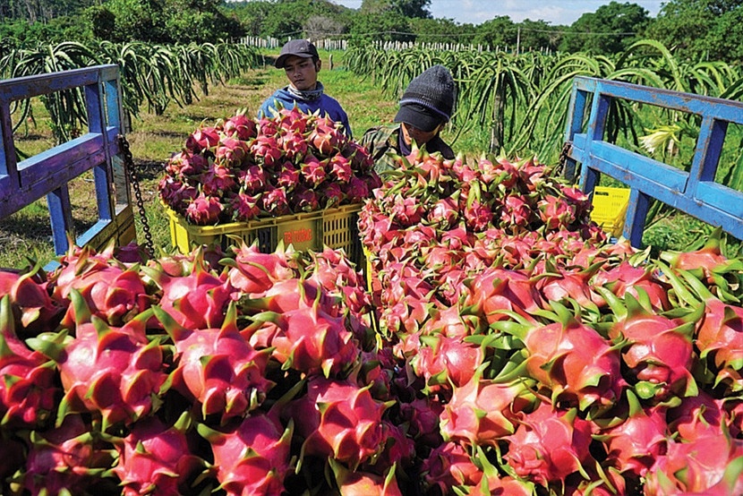 Kinh tế Việt Nam phục hồi tăng trưởng