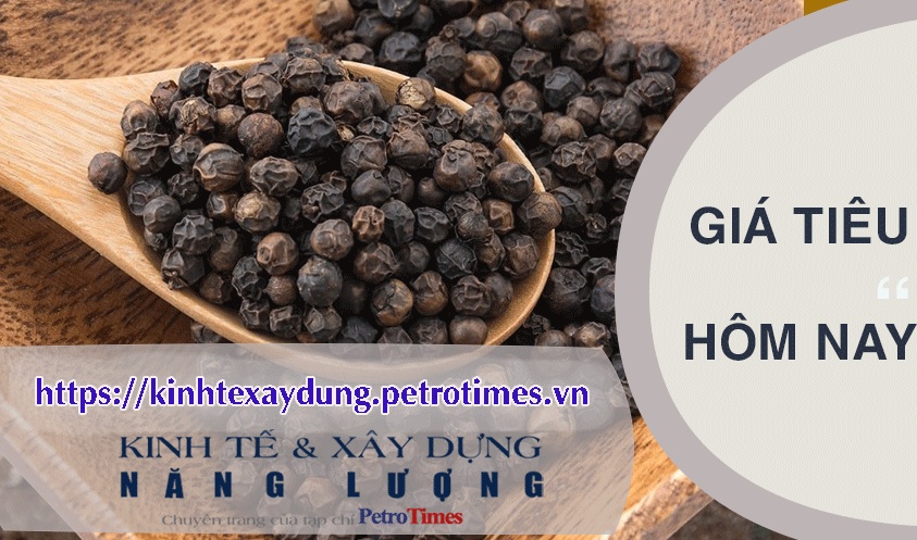 Giá tiêu hôm nay 11/4: Tiếp tục giảm mạnh