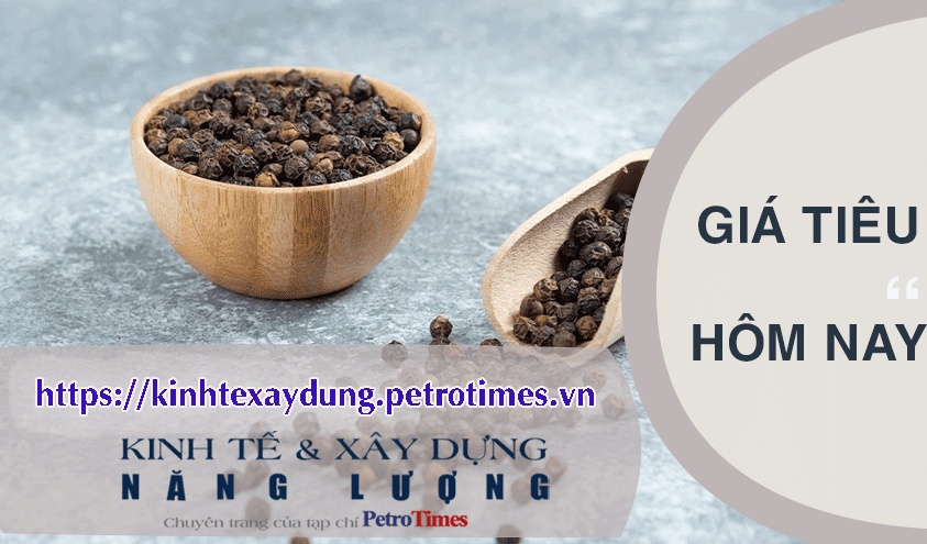 Giá tiêu hôm nay 12/4: Tiếp tục giảm