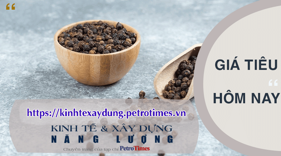 Giá tiêu hôm nay 12/4: Tiếp tục giảm