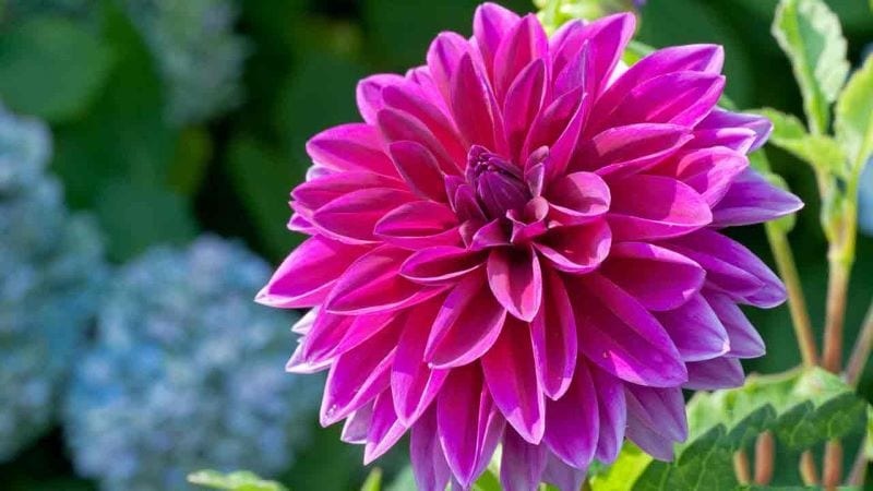 Tử vi ngày 13/4/2024: Tuổi Mão cơ hội tiềm năng, tuổi Ngọ đánh giá sáng suốt