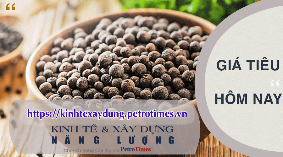Giá tiêu hôm nay 13/4: Giảm về dưới mốc 90.000 đồng