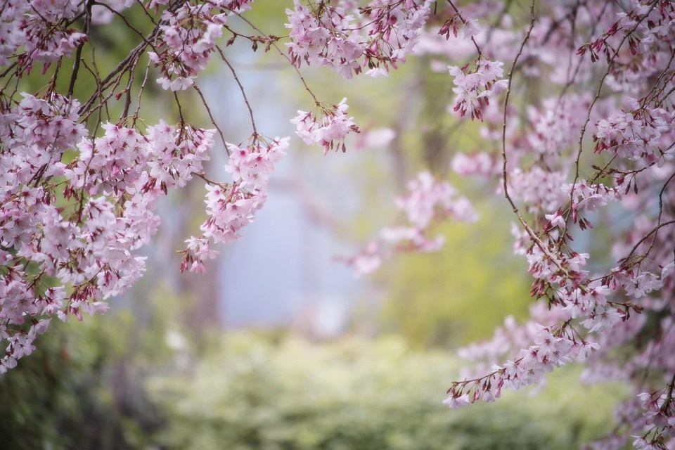 Tử vi ngày 14/4/2024: Tuổi Sửu mở mang kiến thức, tuổi Mùi hành xử đúng mực