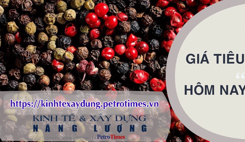 Giá tiêu hôm nay 14/4: Cao nhất 90.500 đồng/kg