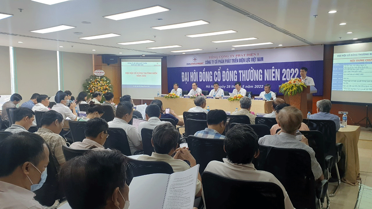 Quản trị hiệu quả, VNPD trụ vững trong môi trường kinh doanh đầy biến động