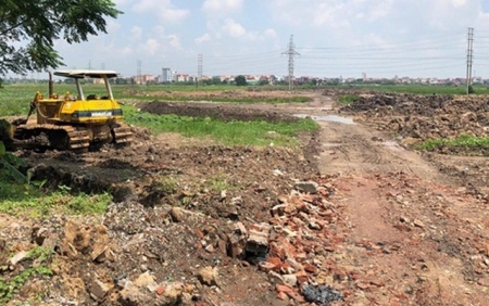 Cá nhân lấn, chiếm đất đai có thể bị xử phạt đến 500 triệu đồng