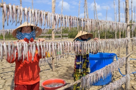 Cà Mau: Thị trấn biển không còn nhộn nhịp