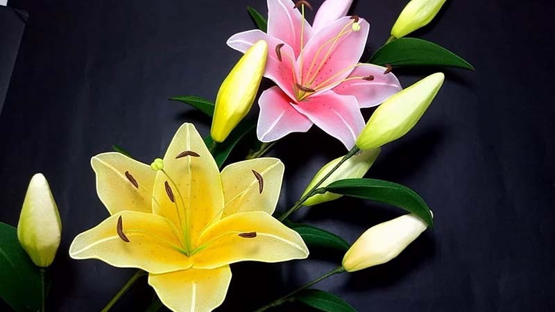 Tử vi 12 con giáp ngày 18/4/2024: Tuổi Thìn gặp rắc rối, tuổi Tý cơ hội thăng tiến