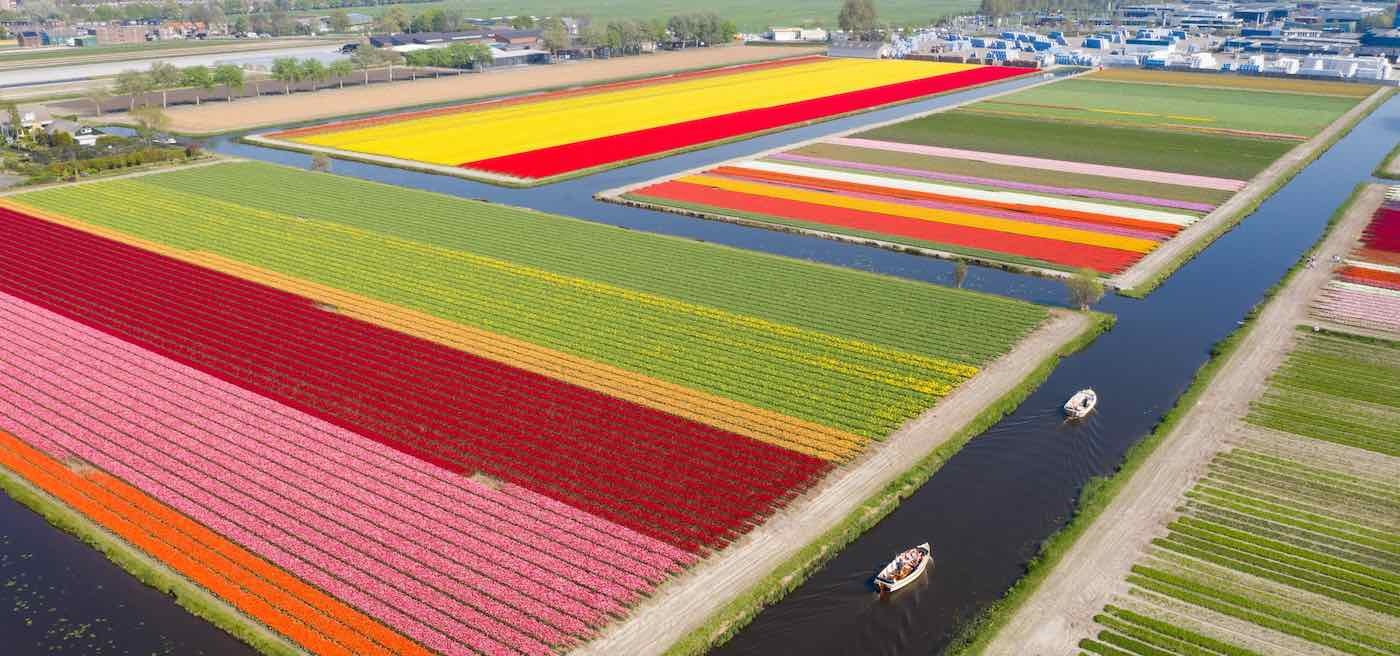Ghé thăm Hà Lan mùa hoa tulip