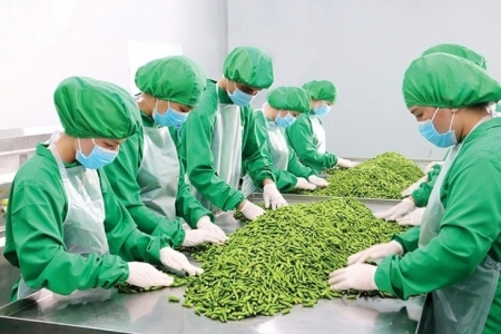 Tin tức kinh tế ngày 18/4: Lần đầu xuất khẩu rau quả quý I vượt 1 tỷ USD