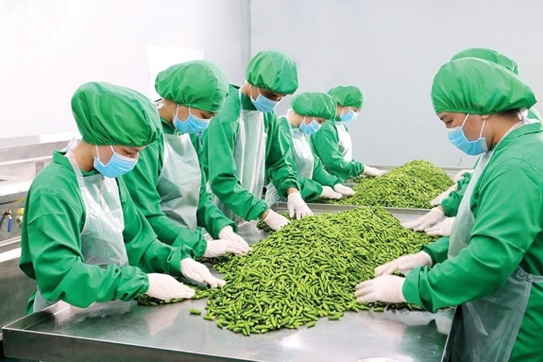 Tin tức kinh tế ngày 18/4: Lần đầu xuất khẩu rau quả quý I vượt 1 tỷ USD