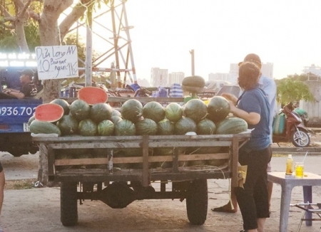 Người tiêu dùng "buộc" phải là "nhà thông thái"?