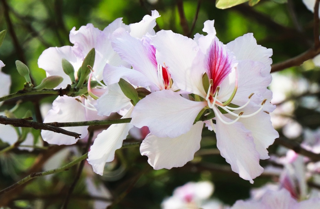 Tử vi ngày 22/4/2024: Tuổi Ngọ sáng kiến hữu ích, tuổi Dần trở ngại bất ngờ Tử vi ngày 22/4/2024: Tuổi Ngọ sáng kiến hữu ích, tuổi Dần trở ngại bất ngờ