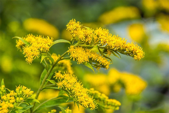 Tử vi ngày 22/4/2024: Tuổi Ngọ sáng kiến hữu ích, tuổi Dần trở ngại bất ngờ Tử vi ngày 22/4/2024: Tuổi Ngọ sáng kiến hữu ích, tuổi Dần trở ngại bất ngờ