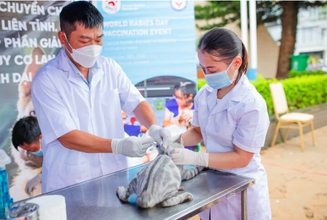 Tỷ lệ tử vong do bệnh dại có chiều hướng gia tăng