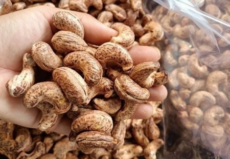 Các kênh phân phối chính hạt điều ở châu Âu