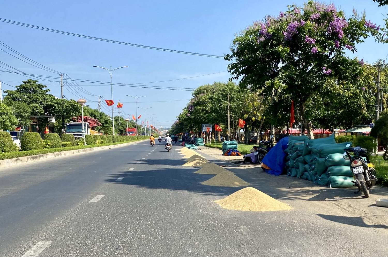 Tái diễn phơi lúa trên mặt đường quốc lộ Tái diễn phơi lúa trên mặt đường quốc lộ